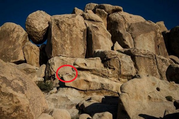 Bambina tra le rocce: riesci a trovarla?