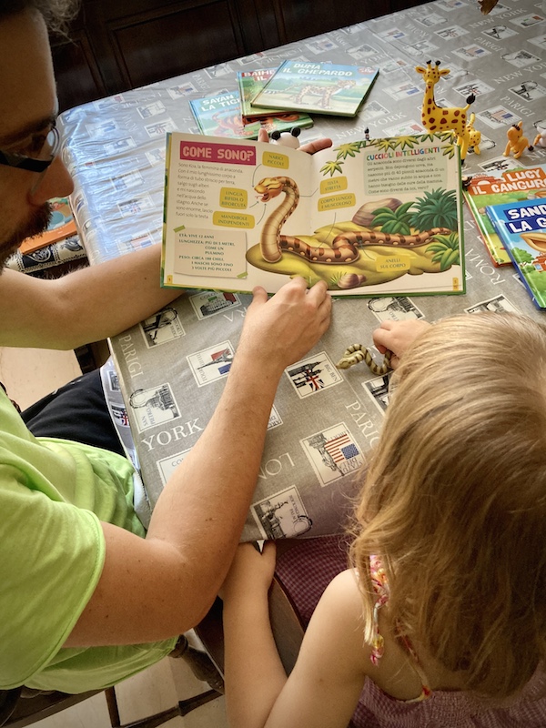 Animali del mio zoo: collezione di libri e personaggi per imparare giocando